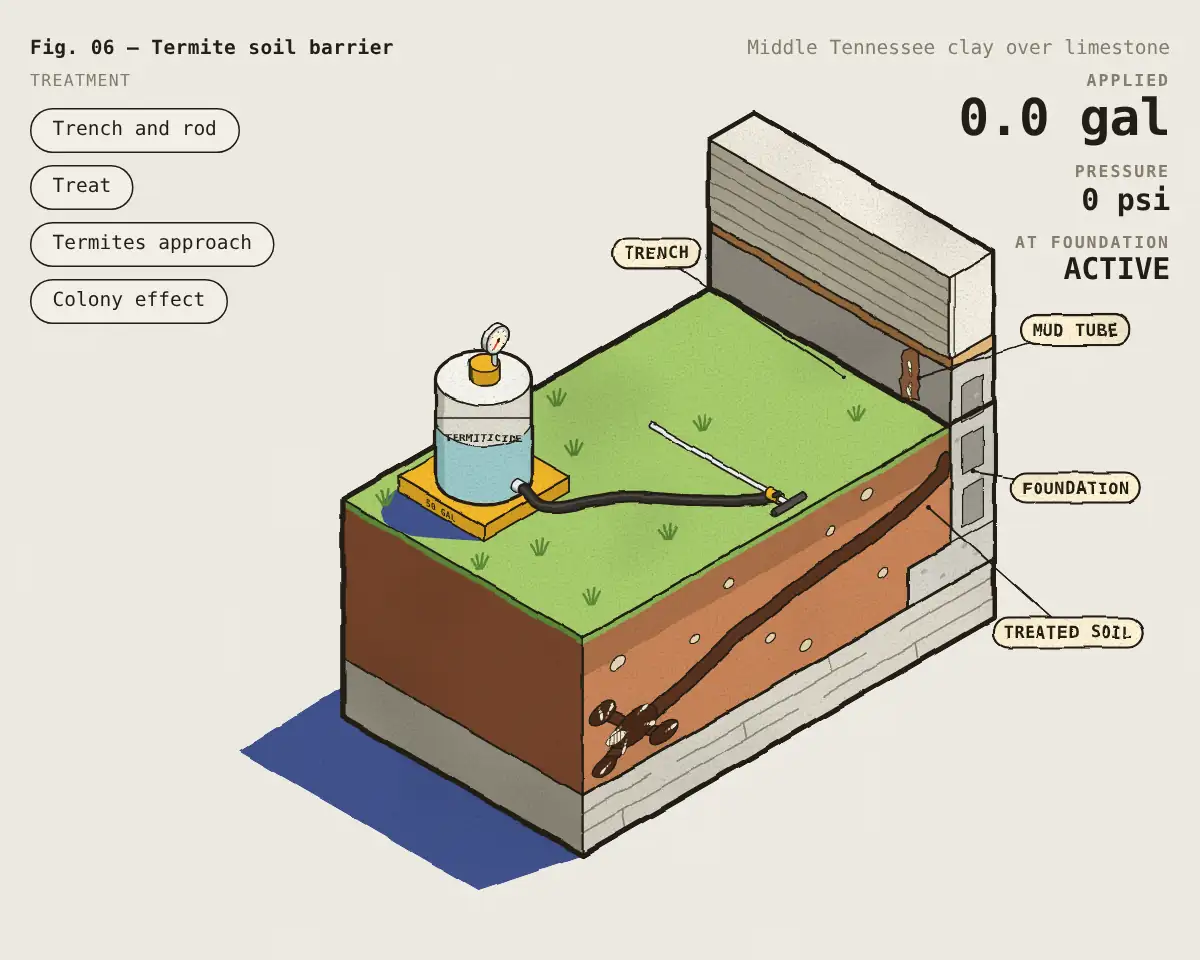 Illustration: How a liquid termite barrier protects a foundation